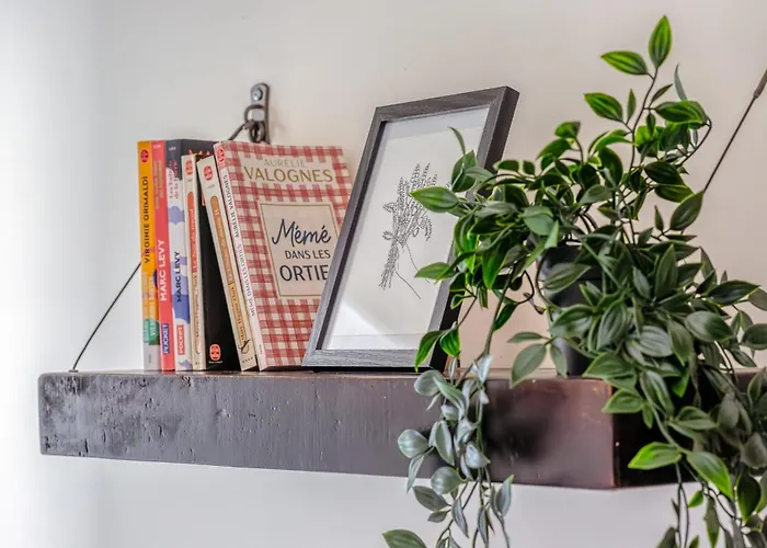 Manon Magnifique F2 Avec Vue 公寓 *